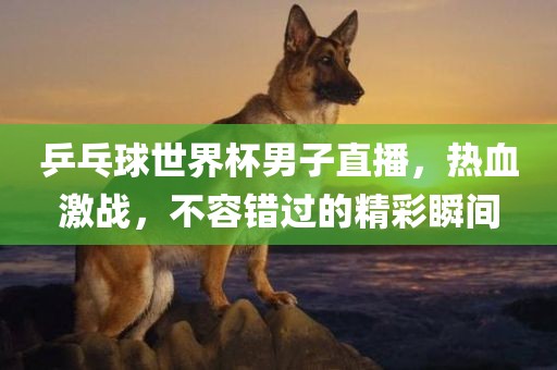 乒乓球世界杯男子直播，热血激战，不容错过的精彩瞬间