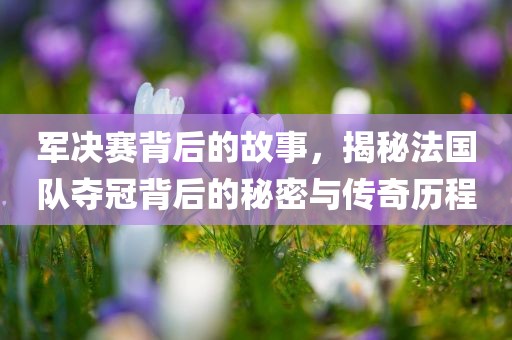 军决赛背后的故事，揭秘法国队夺冠背后的秘密与传奇历程
