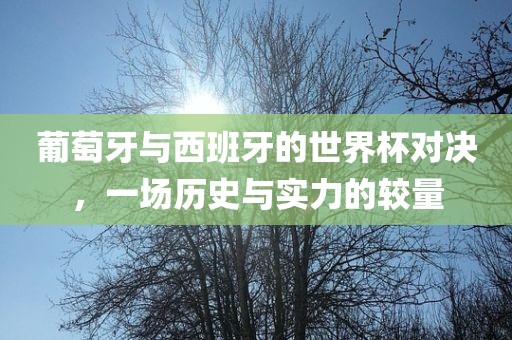 葡萄牙与西班牙的世界杯对决，一场历史与实力的较量