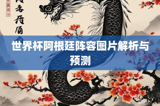 世界杯阿根廷阵容图片解析与预测