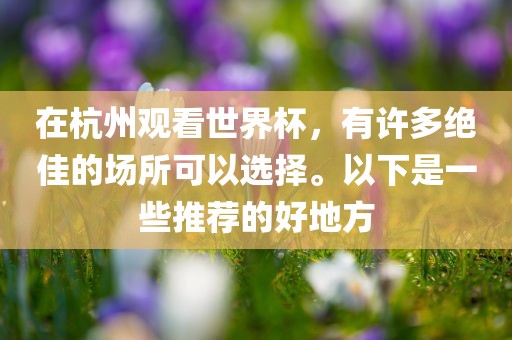在杭州观看世界杯，有许多绝佳的场所可以选择。以下是一些推荐的好地方