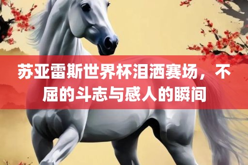 苏亚雷斯世界杯泪洒赛场，不屈的斗志与感人的瞬间