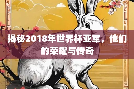 揭秘2018年世界杯亚军，他们的荣耀与传奇