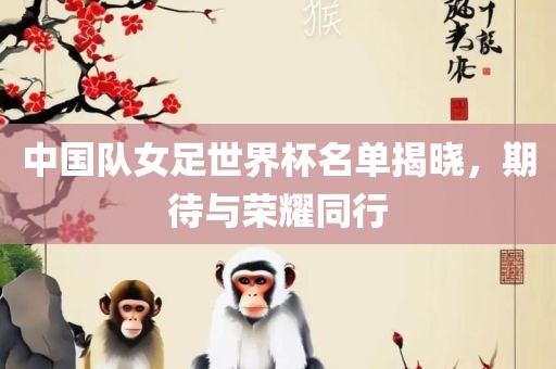 中国队女足世界杯名单揭晓，期待与荣耀同行