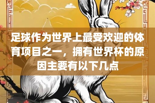 足球作为世界上最受欢迎的体育项目之一，拥有世界杯的原因主要有以下几点