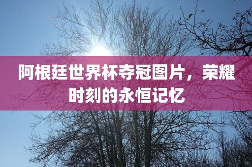 阿根廷世界杯夺冠图片，荣耀时刻的永恒记忆
