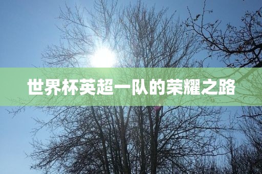 世界杯英超一队的荣耀之路