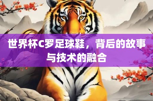 世界杯C罗足球鞋，背后的故事与技术的融合