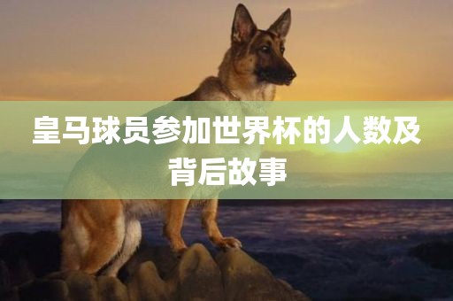 皇马球员参加世界杯的人数及背后故事