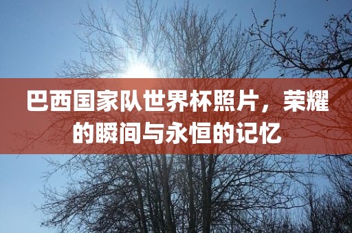 巴西国家队世界杯照片，荣耀的瞬间与永恒的记忆