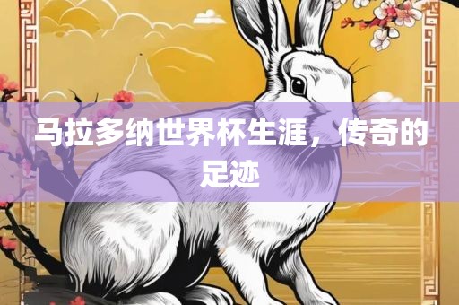 马拉多纳世界杯生涯，传奇的足迹