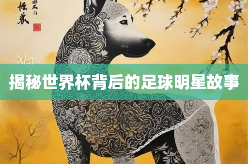 揭秘世界杯背后的足球明星故事