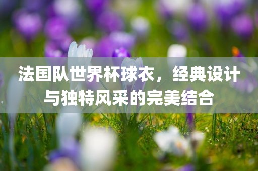 法国队世界杯球衣，经典设计与独特风采的完美结合