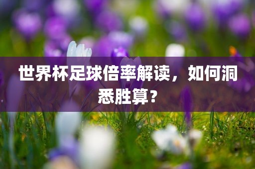 世界杯足球倍率解读，如何洞悉胜算？
