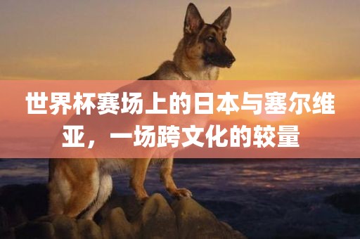 世界杯赛场上的日本与塞尔维亚，一场跨文化的较量