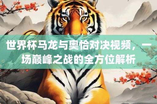 世界杯马龙与奥恰对决视频，一场巅峰之战的全方位解析