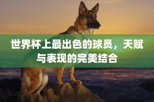 世界杯上最出色的球员，天赋与表现的完美结合