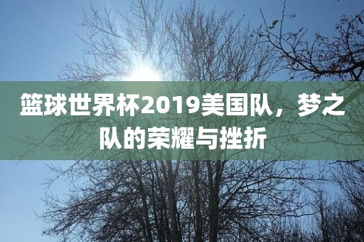 篮球世界杯2019美国队，梦之队的荣耀与挫折