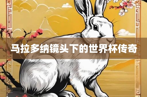 马拉多纳镜头下的世界杯传奇
