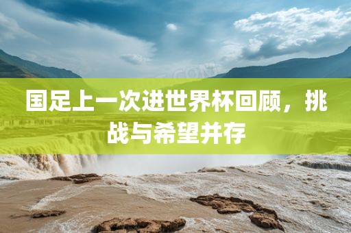 国足上一次进世界杯回顾，挑战与希望并存