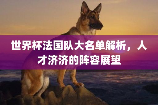世界杯法国队大名单解析，人才济济的阵容展望