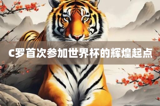 C罗首次参加世界杯的辉煌起点