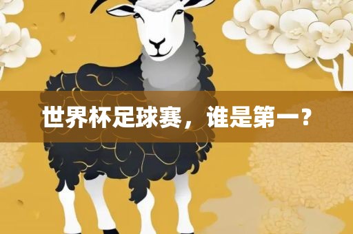世界杯足球赛，谁是第一？