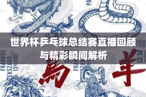 世界杯乒乓球总结赛直播回顾与精彩瞬间解析