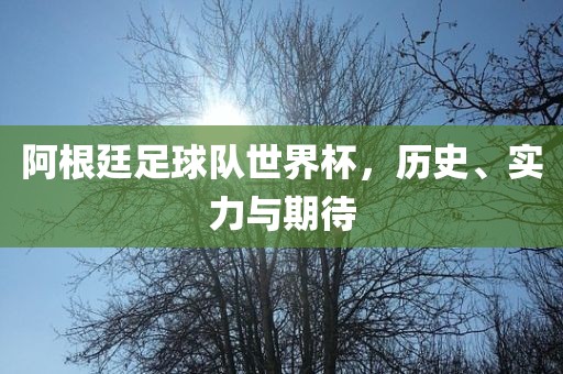阿根廷足球队世界杯，历史、实力与期待