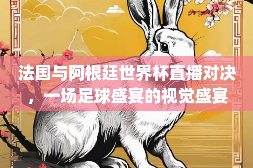 法国与阿根廷世界杯直播对决，一场足球盛宴的视觉盛宴