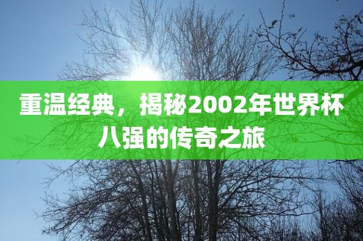重温经典，揭秘2002年世界杯八强的传奇之旅