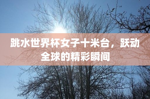 跳水世界杯女子十米台，跃动全球的精彩瞬间