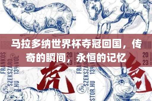 马拉多纳世界杯夺冠回国，传奇的瞬间，永恒的记忆