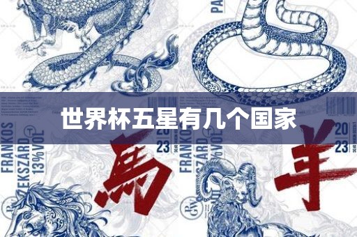 世界杯五星有几个国家