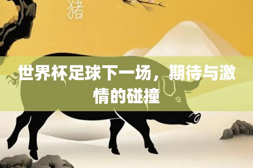 世界杯足球下一场，期待与激情的碰撞