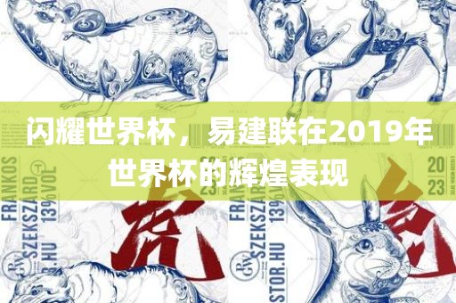 闪耀世界杯，易建联在2019年世界杯的辉煌表现