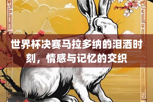 世界杯决赛马拉多纳的泪洒时刻，情感与记忆的交织