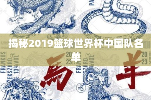 揭秘2019篮球世界杯中国队名单