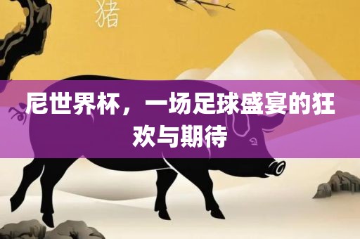 尼世界杯，一场足球盛宴的狂欢与期待