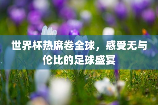 世界杯热席卷全球，感受无与伦比的足球盛宴