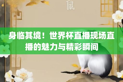 身临其境！世界杯直播现场直播的魅力与精彩瞬间