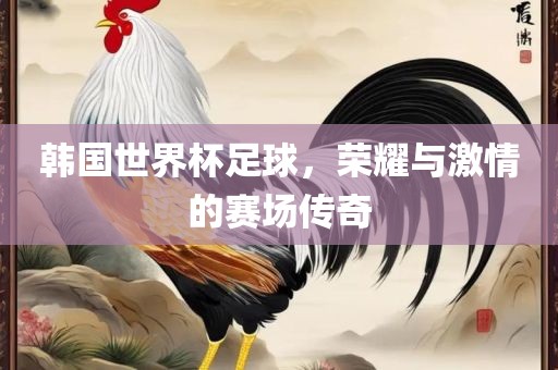 韩国世界杯足球，荣耀与激情的赛场传奇