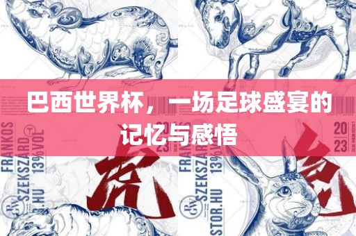 巴西世界杯，一场足球盛宴的记忆与感悟
