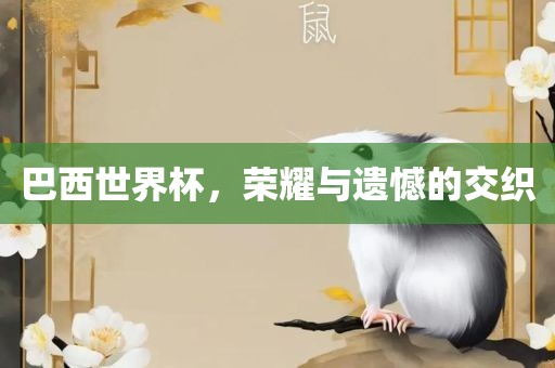 巴西世界杯，荣耀与遗憾的交织