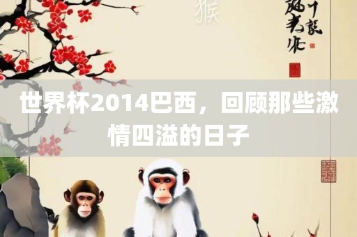 世界杯2014巴西，回顾那些激情四溢的日子
