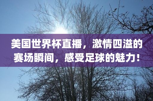 美国世界杯直播，激情四溢的赛场瞬间，感受足球的魅力！