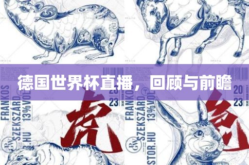 德国世界杯直播，回顾与前瞻