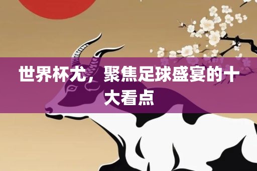 世界杯尤，聚焦足球盛宴的十大看点