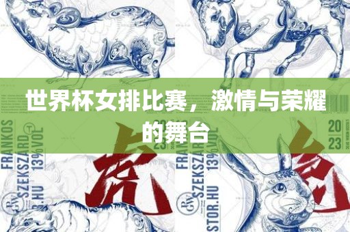 世界杯女排比赛，激情与荣耀的舞台