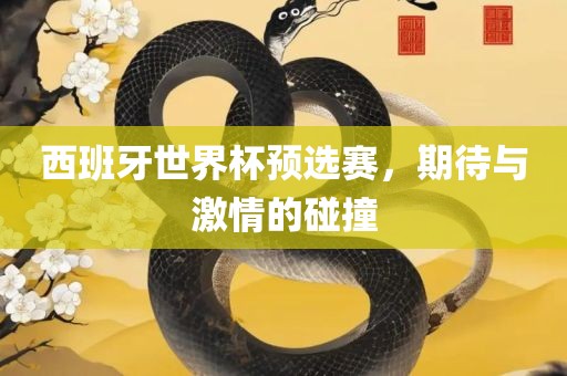 西班牙世界杯预选赛，期待与激情的碰撞